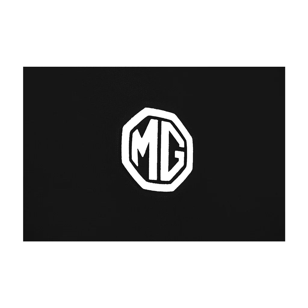 MG ZS Car Shades